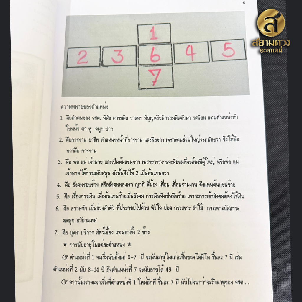 คู่มือ มหัศจรรย์โดมิโน่ เล่ม 1 โดย มาดามณัชญ์คนอ่านดวง "คู่มืออย่างเดียวไม่มีไพ่แถม" - Image 6